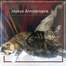 Chat tranquille pour un anniversaire joyeux